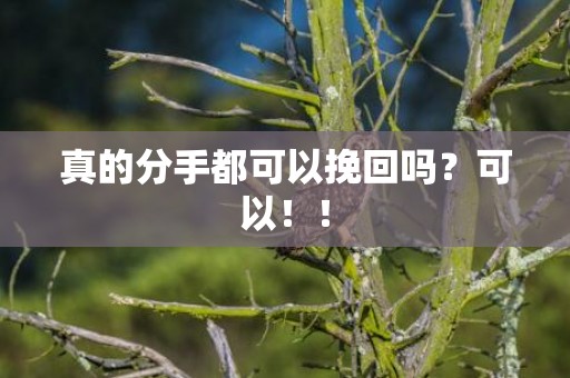 真的分手都可以挽回吗？可以！！