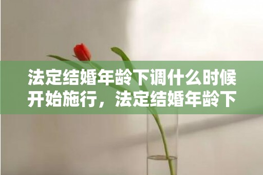 法定结婚年龄下调什么时候开始施行，法定结婚年龄下调至18岁