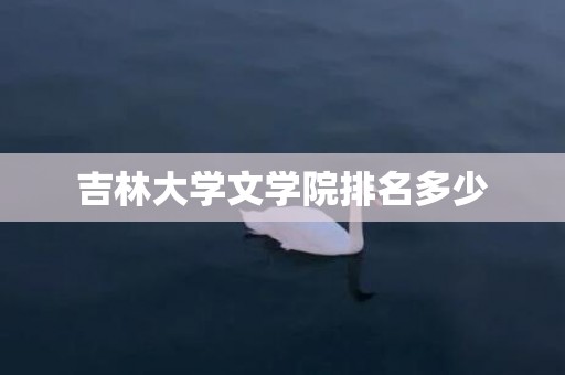 吉林大学文学院排名多少