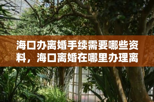 海口办离婚手续需要哪些资料，海口离婚在哪里办理离婚证