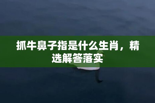 抓牛鼻子指是什么生肖，精选解答落实