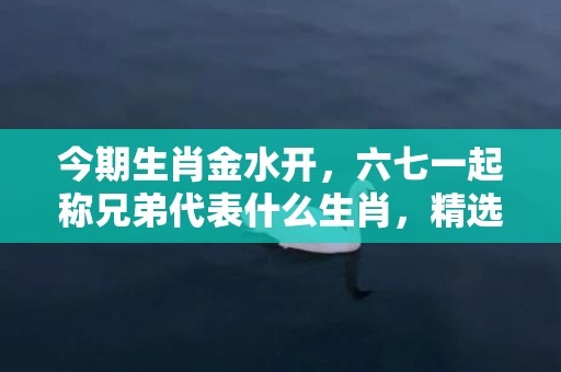 今期生肖金水开，六七一起称兄弟代表什么生肖，精选解答落实