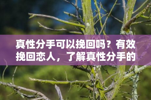 真性分手可以挽回吗？有效挽回恋人，了解真性分手的原因和特点