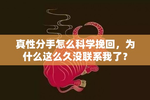 真性分手怎么科学挽回，为什么这么久没联系我了？