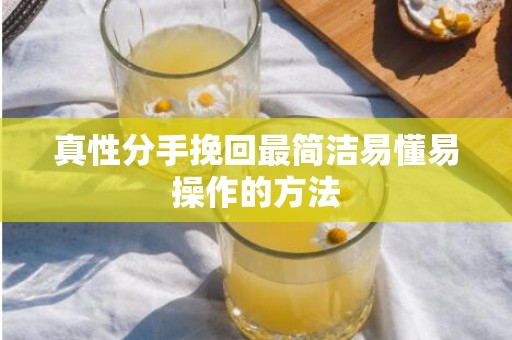 真性分手挽回最简洁易懂易操作的方法