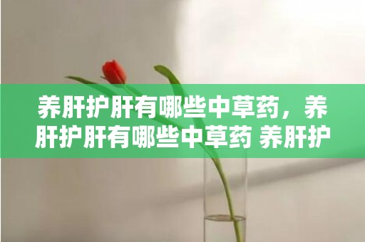 养肝护肝有哪些中草药，养肝护肝有哪些中草药 养肝护肝食品