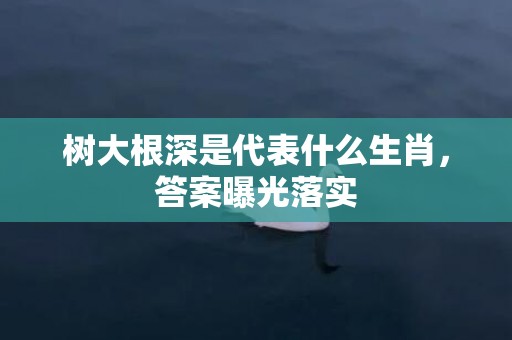 树大根深是代表什么生肖，答案曝光落实