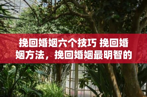 挽回婚姻六个技巧 挽回婚姻方法，挽回婚姻最明智的方法切记哭闹,哀求,质问，怎样挽回婚姻感情的具体办法