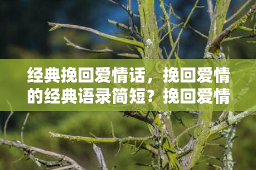 经典挽回爱情话，挽回爱情的经典语录简短？挽回爱情短句100条