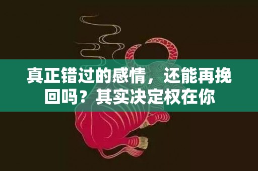 真正错过的感情，还能再挽回吗？其实决定权在你