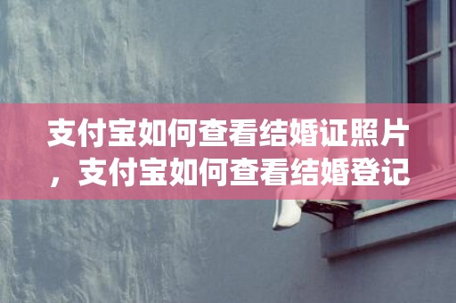 支付宝如何查看结婚证照片，支付宝如何查看结婚登记信息表(支付宝如何查结婚证登记信息)