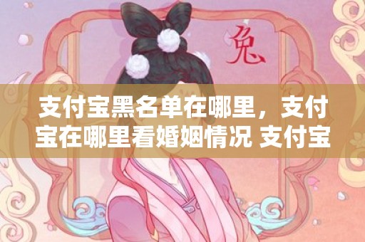 支付宝黑名单在哪里，支付宝在哪里看婚姻情况 支付宝付款信息在哪里查询