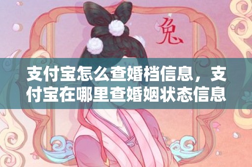 支付宝怎么查婚档信息，支付宝在哪里查婚姻状态信息？支付宝上怎么查询婚姻状况