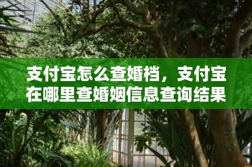 支付宝怎么查婚档，支付宝在哪里查婚姻信息查询结果呢