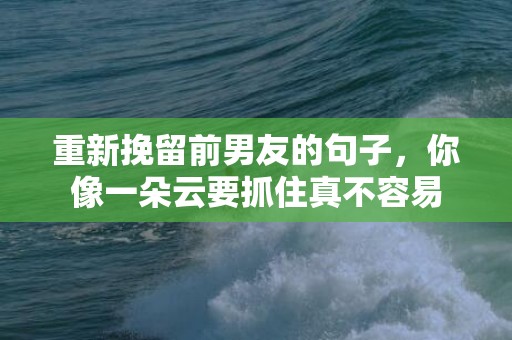 重新挽留前男友的句子，你像一朵云要抓住真不容易