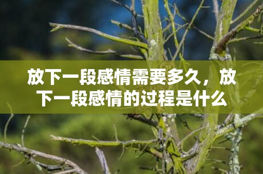 放下一段感情需要多久，放下一段感情的过程是什么