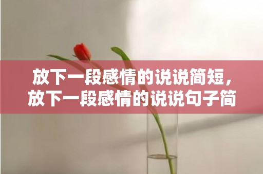 放下一段感情的说说简短，放下一段感情的说说句子简短，无奈放手的句子