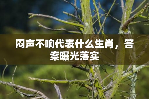 闷声不响代表什么生肖，答案曝光落实