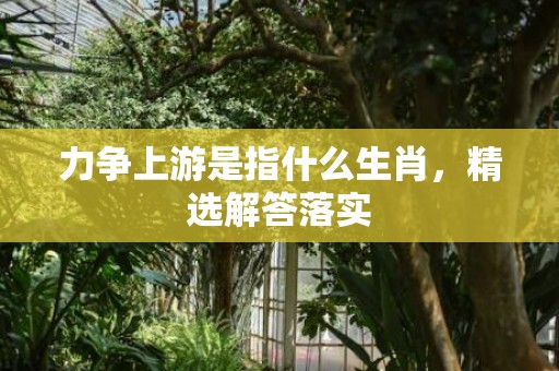 力争上游是指什么生肖，精选解答落实