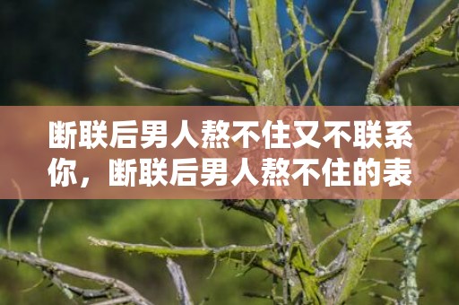 断联后男人熬不住又不联系你，断联后男人熬不住的表现，断联多久男人开始慌了