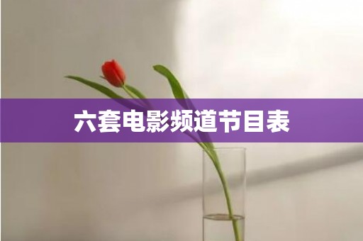 六套电影频道节目表