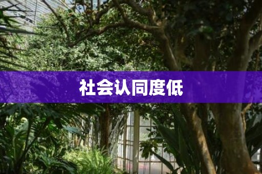 社会认同度低