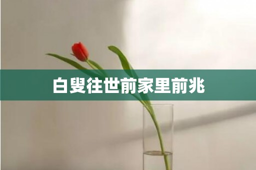 白叟往世前家里前兆