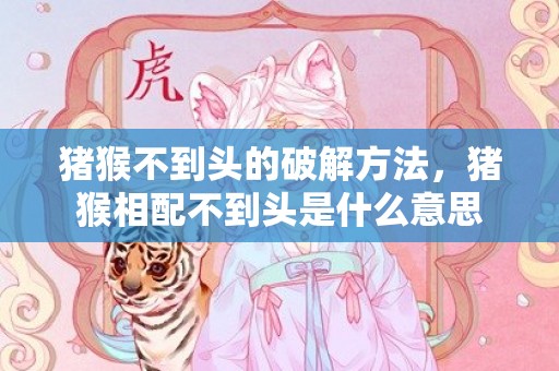 猪猴不到头的破解方法，猪猴相配不到头是什么意思