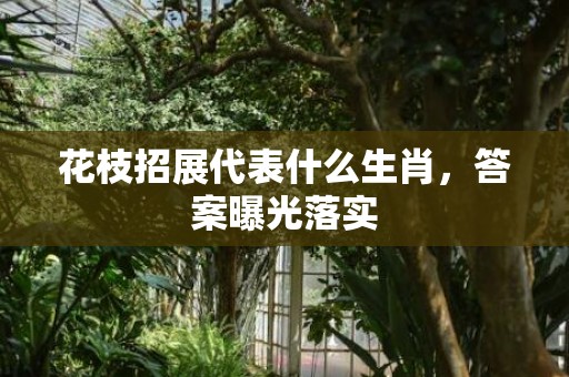 花枝招展代表什么生肖，答案曝光落实