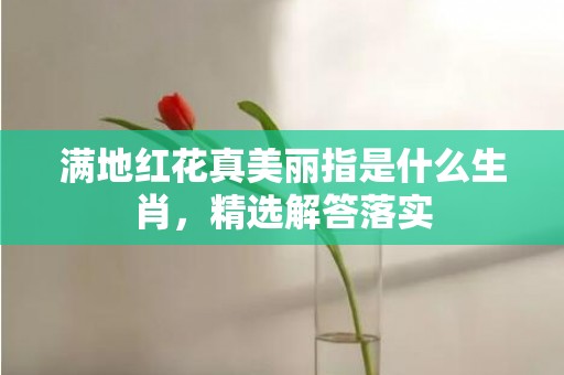 满地红花真美丽指是什么生肖，精选解答落实