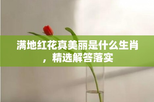 满地红花真美丽是什么生肖，精选解答落实