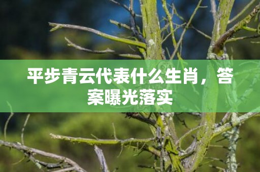 平步青云代表什么生肖，答案曝光落实