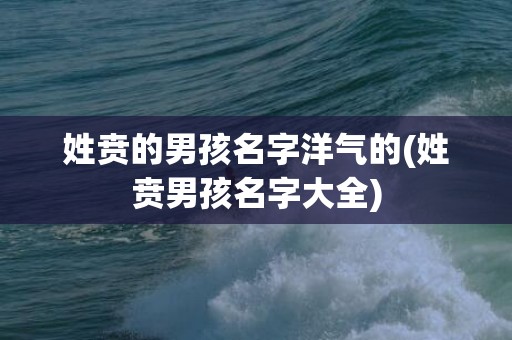 姓贲的男孩名字洋气的(姓贲男孩名字大全)