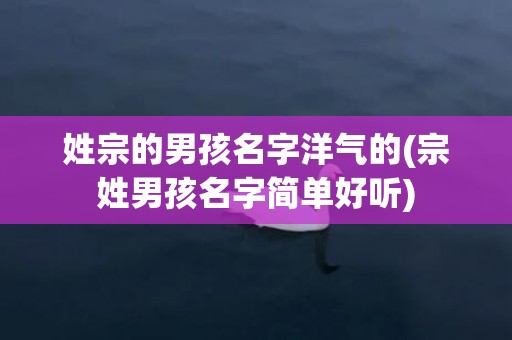 姓宗的男孩名字洋气的(宗姓男孩名字简单好听)