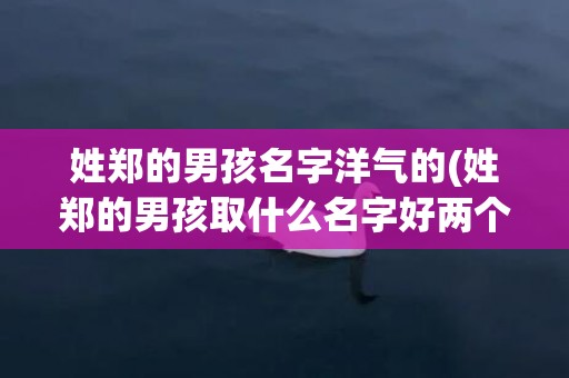 姓郑的男孩名字洋气的(姓郑的男孩取什么名字好两个字)