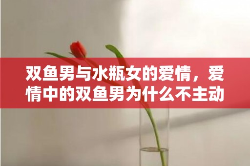 双鱼男与水瓶女的爱情，爱情中的双鱼男为什么不主动找你