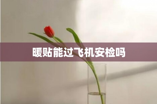 暖贴能过飞机安检吗