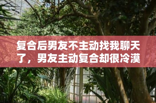 复合后男友不主动找我聊天了，男友主动复合却很冷漠 学会改变沟通？一个男人对你冷漠不跟你沟通