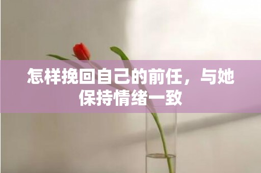 怎样挽回自己的前任，与她保持情绪一致