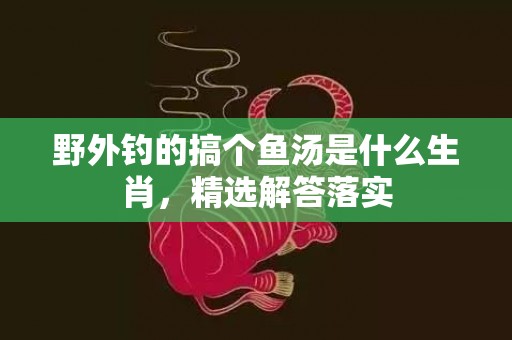 野外钓的搞个鱼汤是什么生肖，精选解答落实