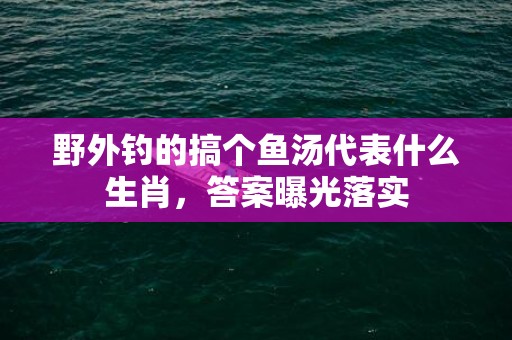 野外钓的搞个鱼汤代表什么生肖，答案曝光落实