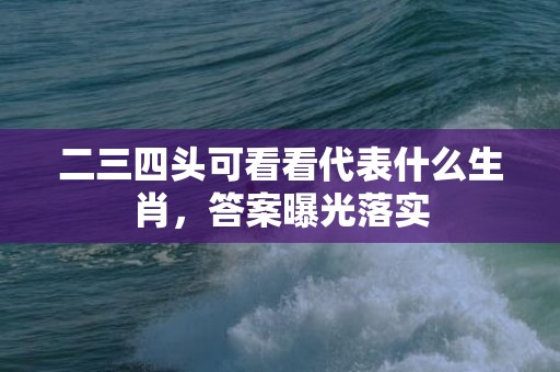 二三四头可看看代表什么生肖，答案曝光落实