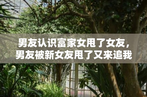 男友认识富家女甩了女友，男友被新女友甩了又来追我该接受吗