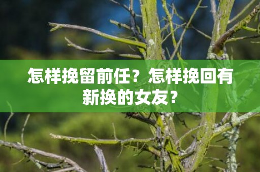 怎样挽留前任？怎样挽回有新换的女友？