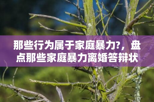 那些行为属于家庭暴力?，盘点那些家庭暴力离婚答辩状学会了吗