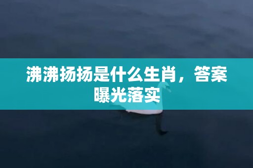 沸沸扬扬是什么生肖，答案曝光落实