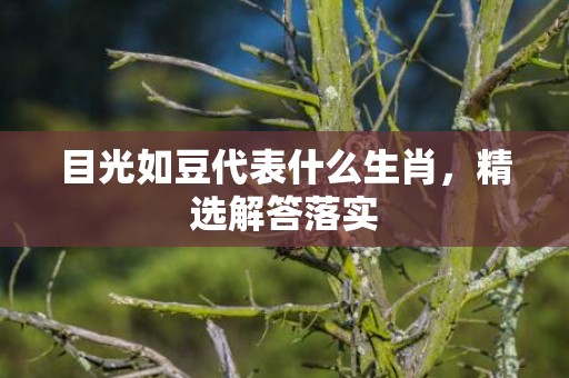 目光如豆代表什么生肖，精选解答落实