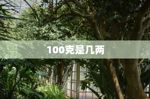 100克是几两