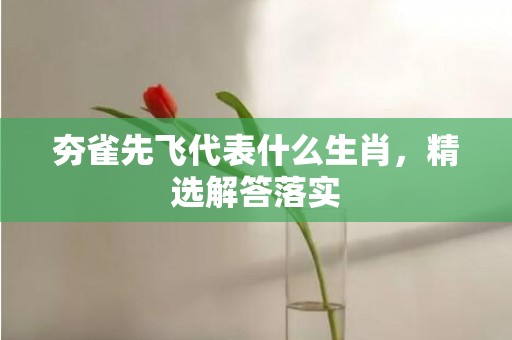 夯雀先飞代表什么生肖，精选解答落实