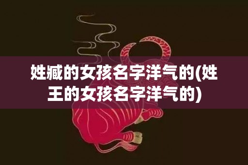 姓臧的女孩名字洋气的(姓王的女孩名字洋气的)